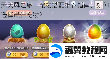 天天风之旅