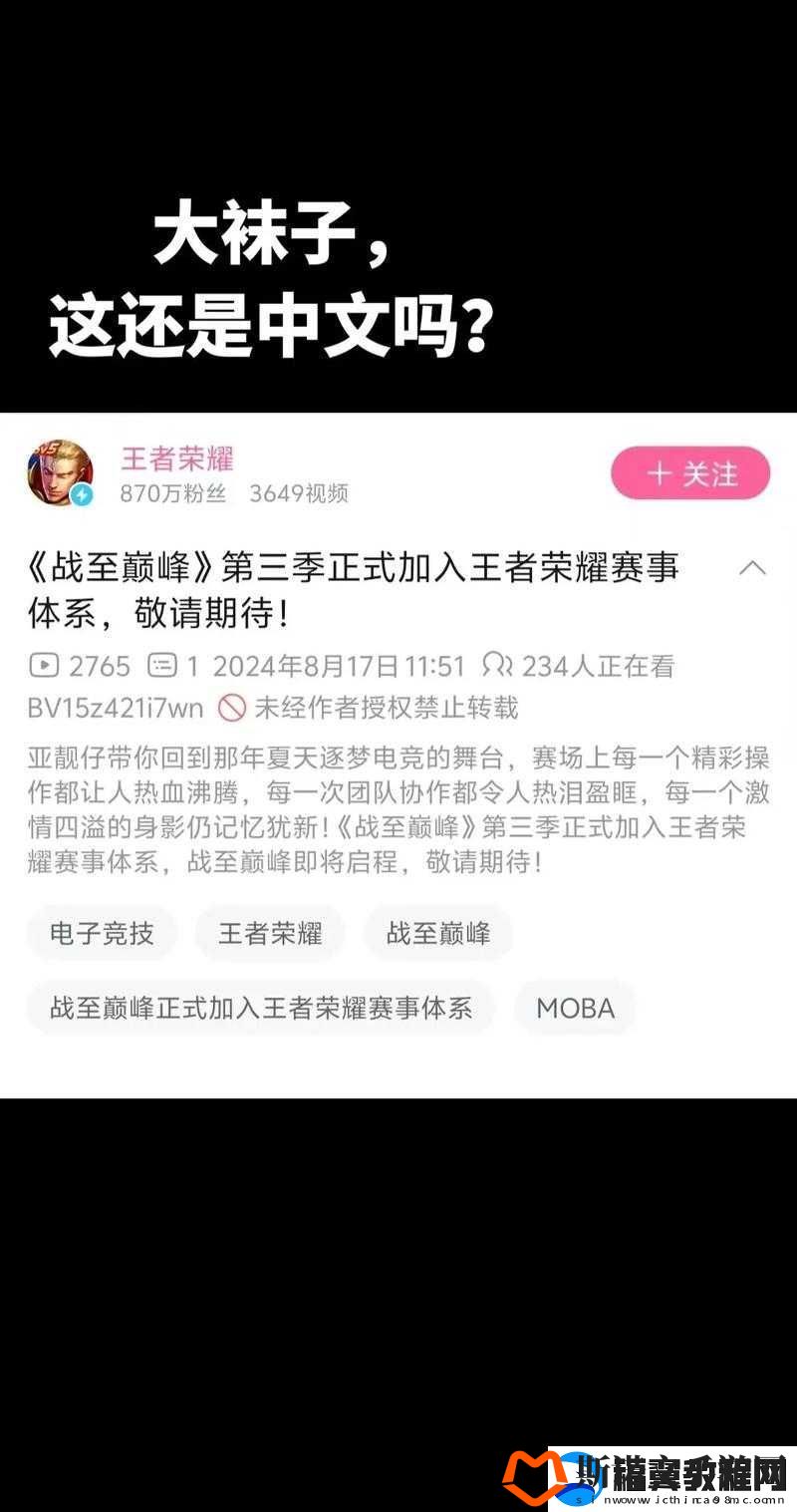 王者荣耀战至巅峰-深入解析口令的重要性及高效管理技巧