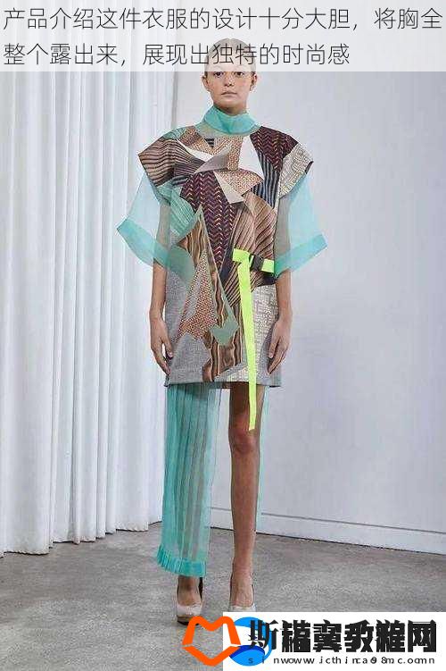 产品介绍这件衣服的设计十分大胆
