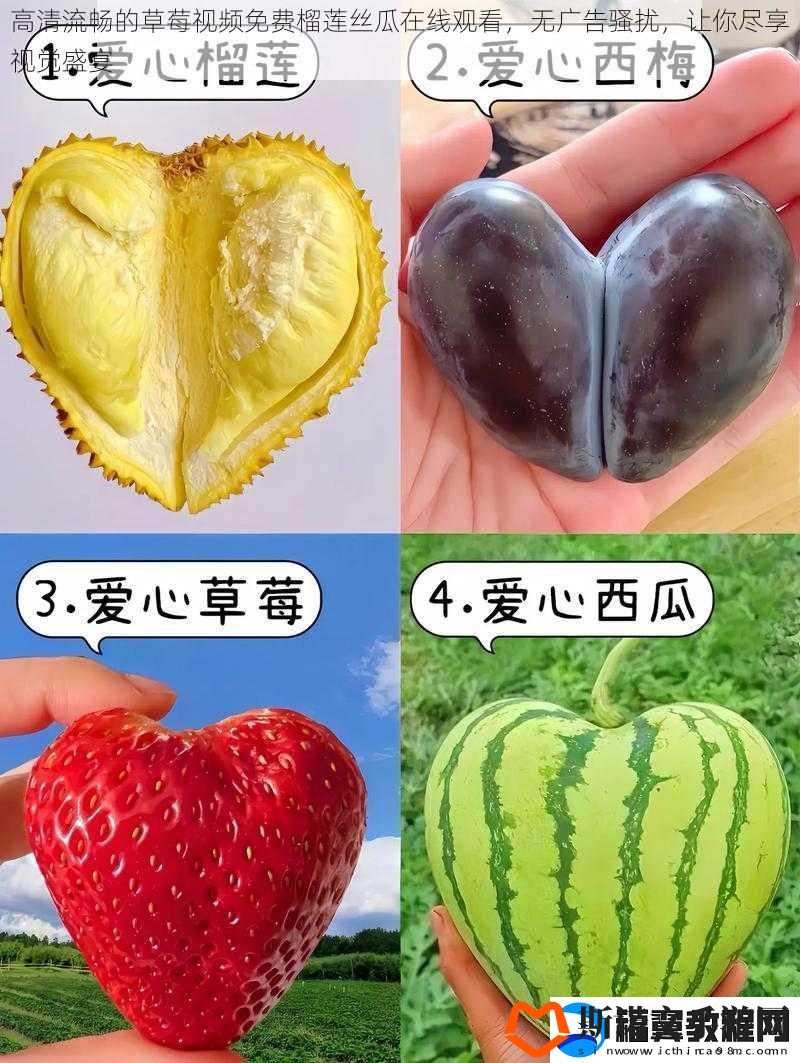 高清流畅的草莓视频免费榴莲丝瓜在线观看-无广告骚扰-让你尽享视觉盛宴