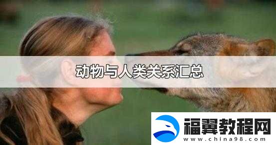 人物与动物交互在钱里叫什么：探究其背后的隐秘含义