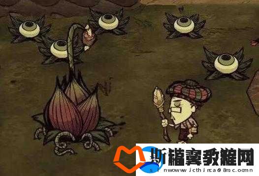 饥荒老奶奶回血攻略及相关技巧详解