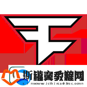 Vitality赛后动态-flameZ：这一年并不好美好