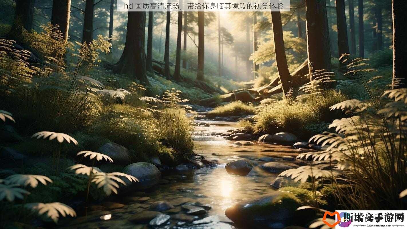 hd-画质高清流畅-带给你身临其境般的视觉体验