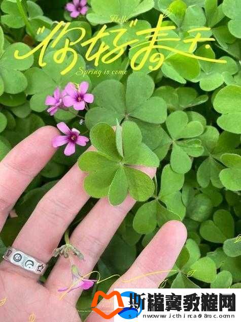 成品人和精品人的区别四叶草迎来了倒数计时：探讨其背后深意与影响
