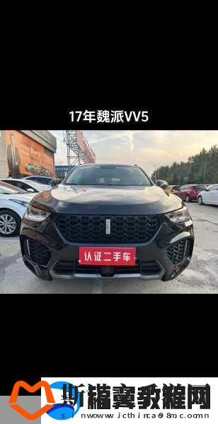 WEYVV5国产的SUV领袖-好的-这里有一些关于WEY-VV5国产SUV的标题建议-字数均在十个字以上：