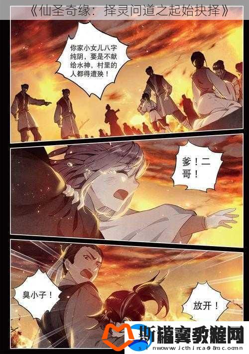 仙圣奇缘：择灵问道之起始抉择