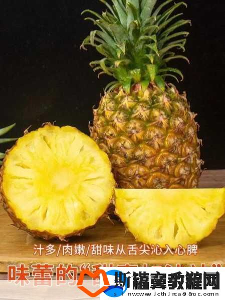 菠萝视频-1.-探索菠萝视频：发现更多精彩内容的秘密