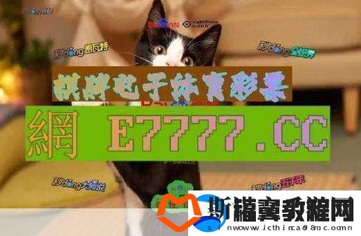 成品站1688免费