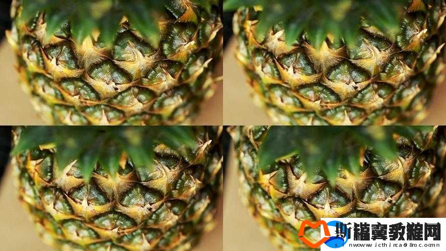 菠萝视频免费高清观看完整版在线