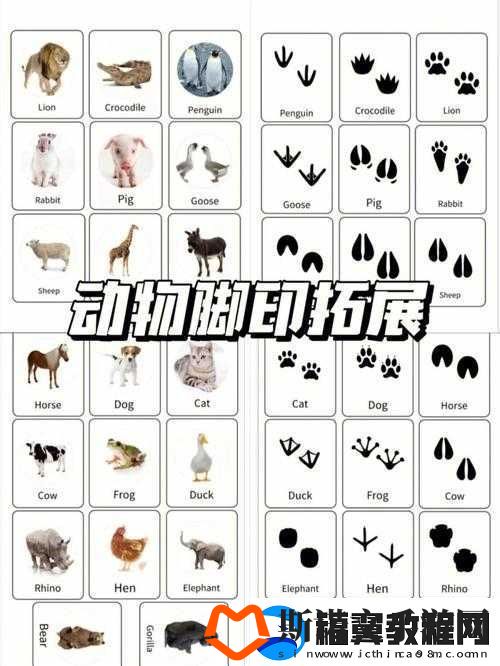 逗趣国冒险之旅
