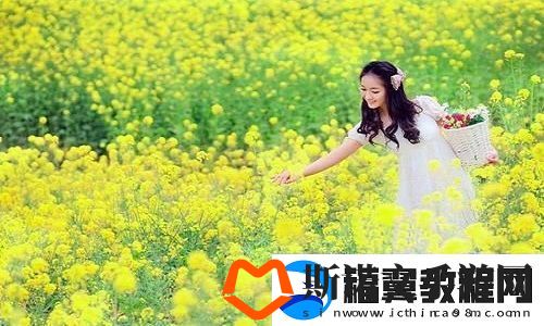 日本夫妻二人一起入住酒店：探索生活中的小确幸与大意义重拾爱情的初心与承诺