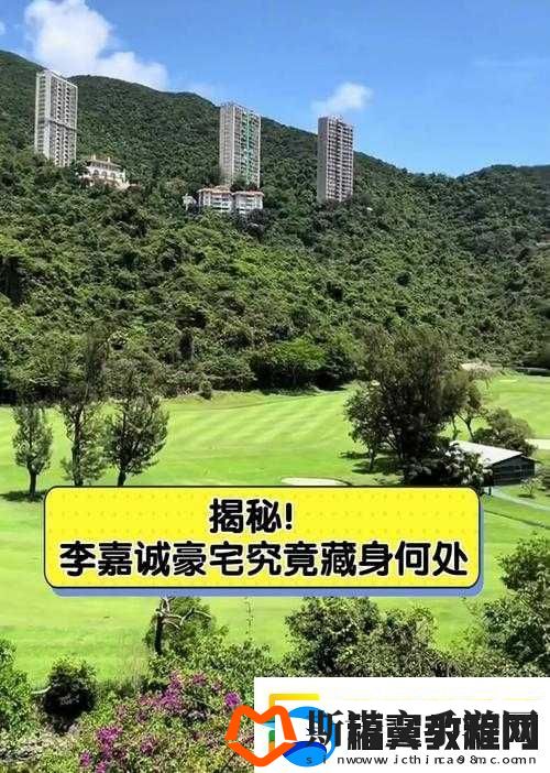机甲与佣兵黑爪存档位置-Codex-组存档究竟在何处