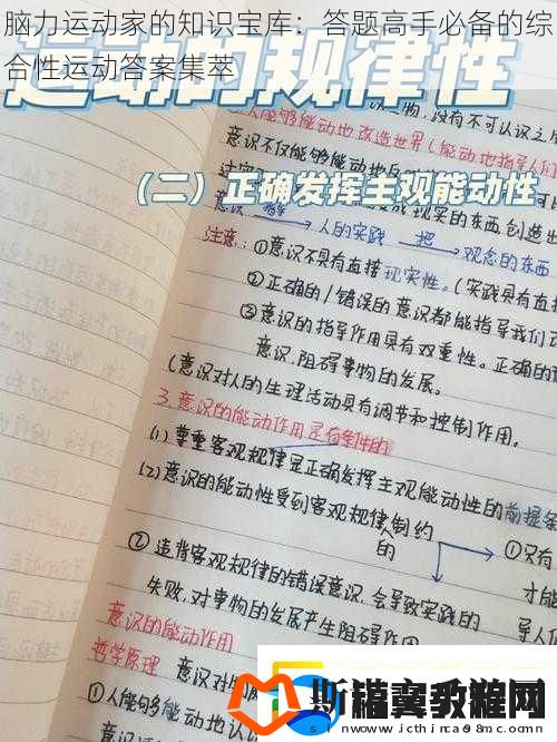 脑力运动家的知识宝库