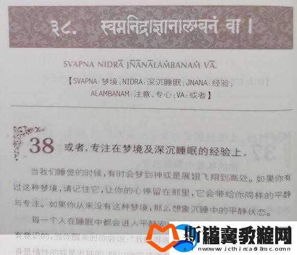 每个世界都被主角睡来睡去可乐饼