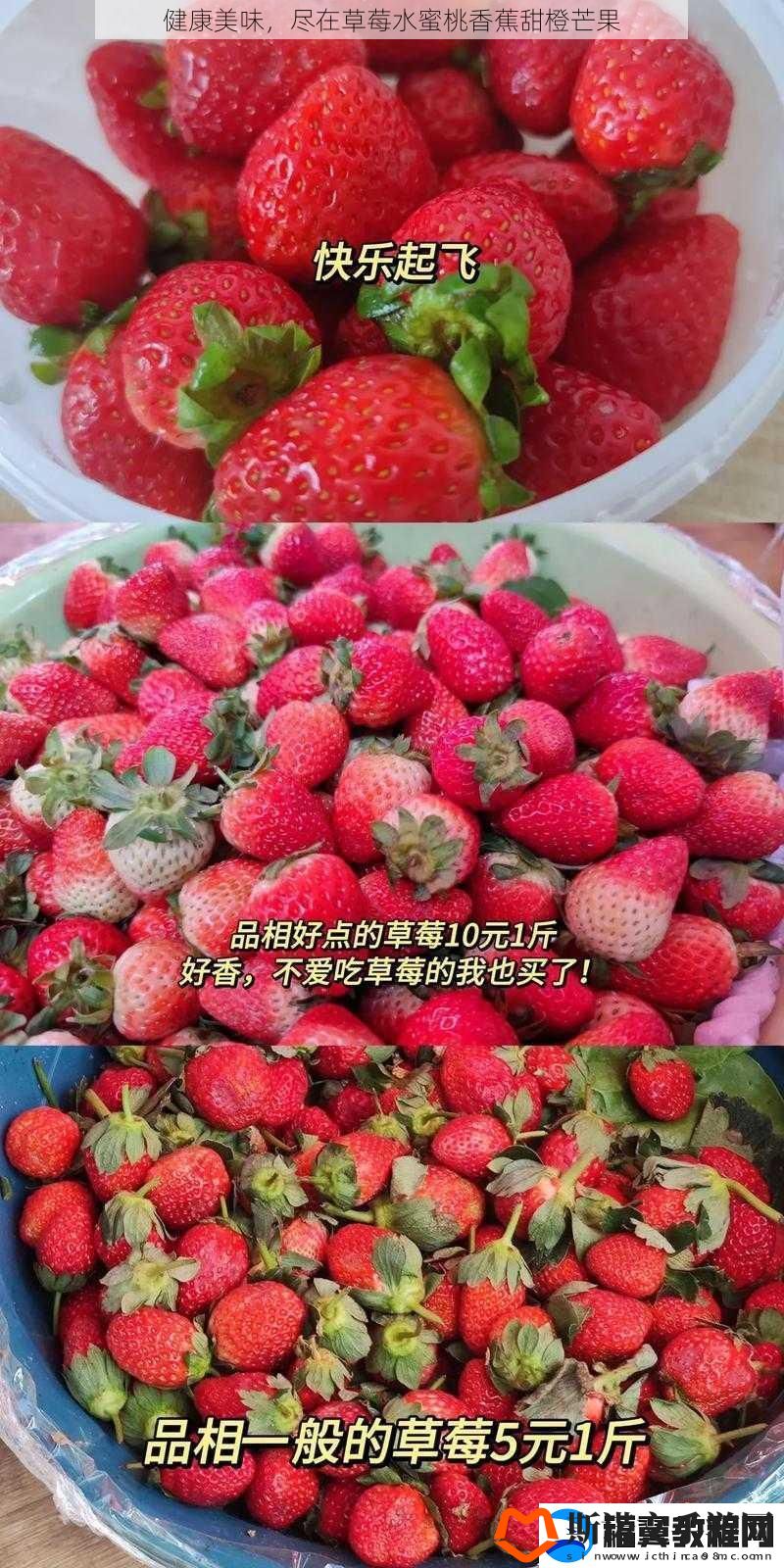 健康美味
