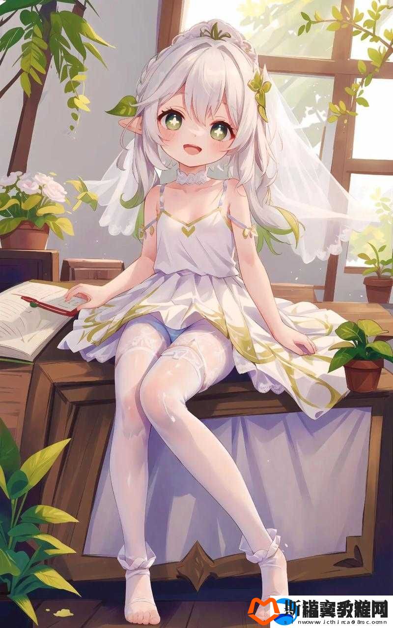 纳西妲无小内无爱心纳西：神奇的存在
