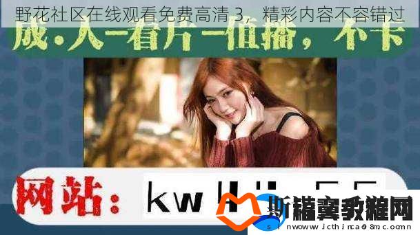 野花社区在线观看免费高清