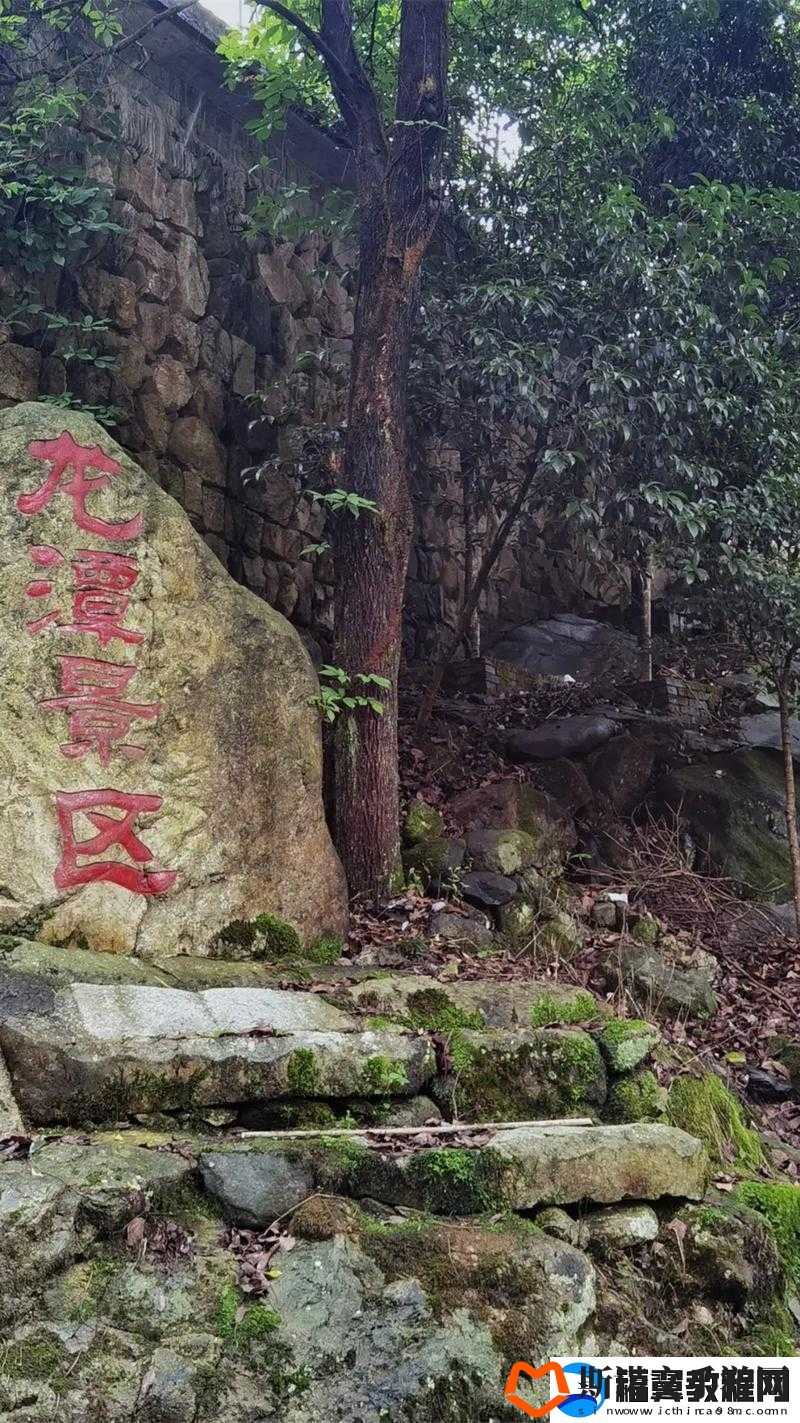 cl-区榴新址-2018-地址：相关介绍