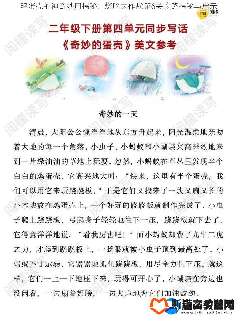 鸡蛋壳的神奇妙用揭秘