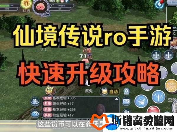 仙境传说RO手游快速升级秘籍