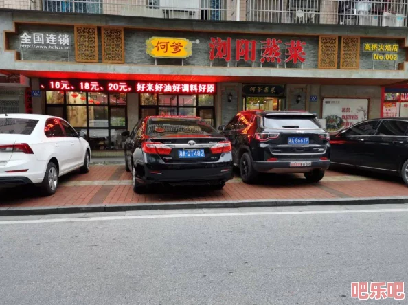 中国Javaparser大学生