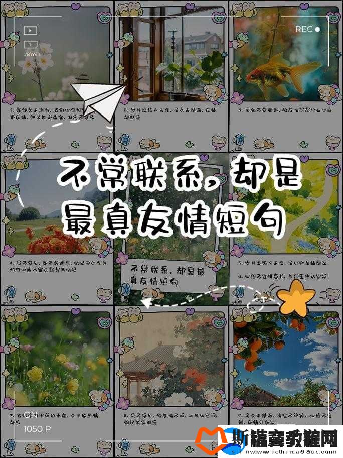 友情的边界：逾矩的友情不是真友情