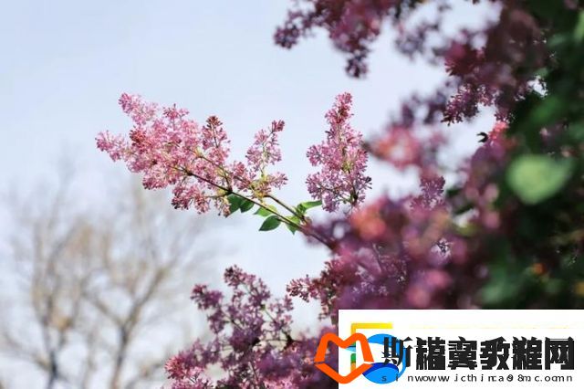 盛夏倾诉