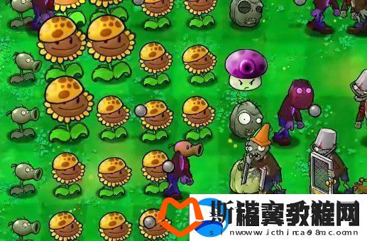 植物大战僵尸杂交版挑战第40关如何闯关