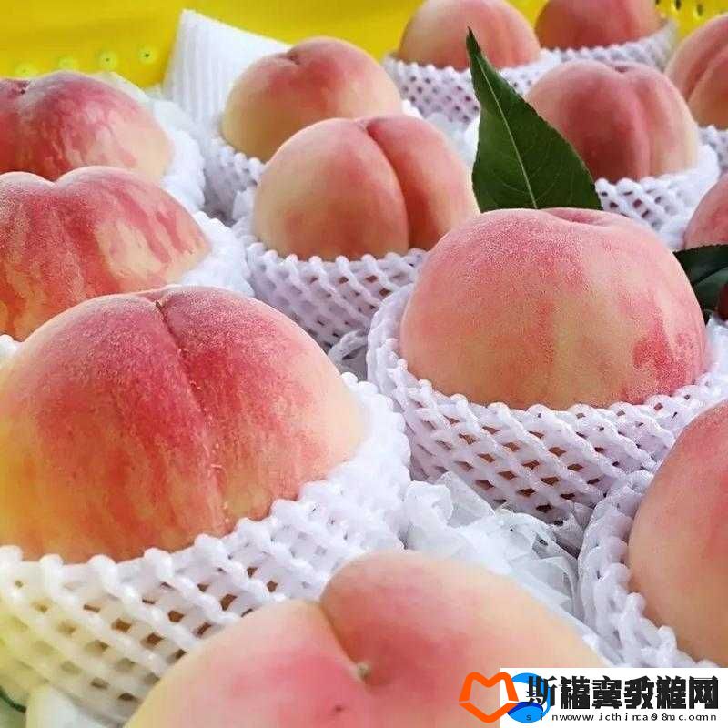 水蜜桃-4：香甜多汁的美味水果