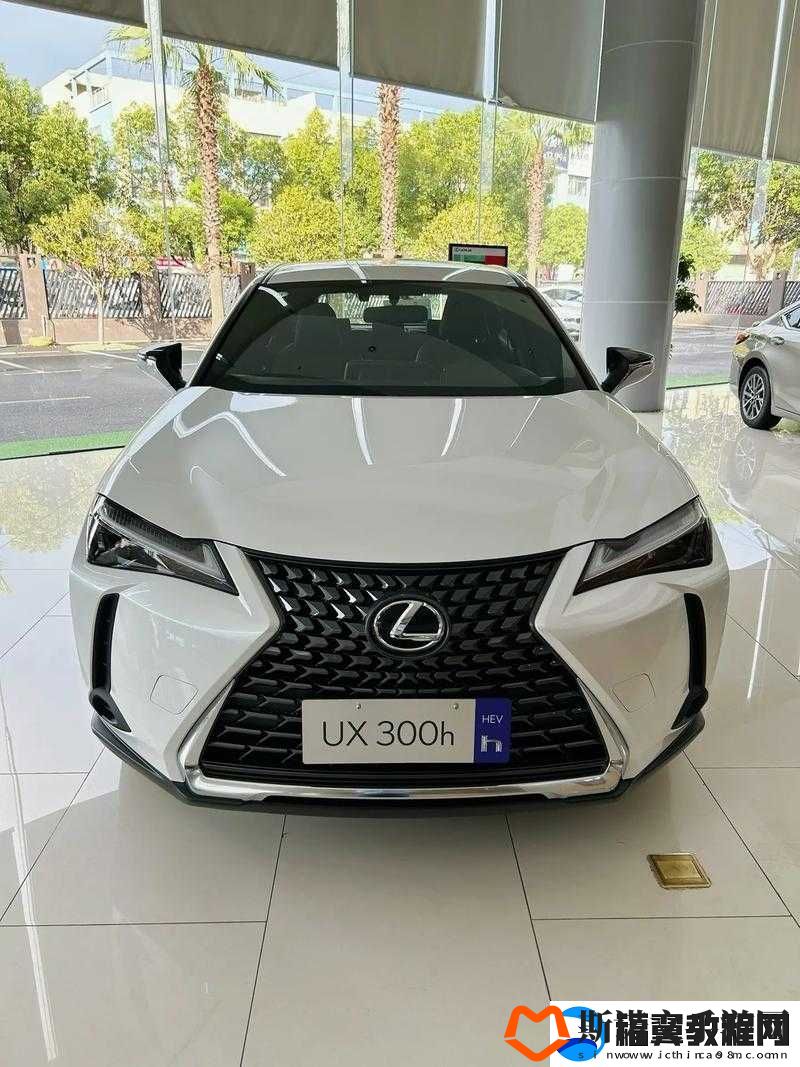 适合-3040-岁女人的-SUV：魅力座驾之选