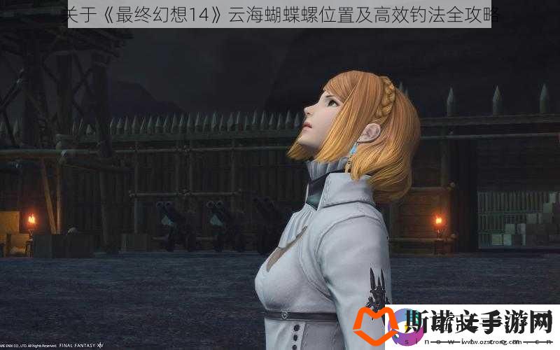 关于最终幻想14云海蝴蝶螺位置及高效钓法全攻略
