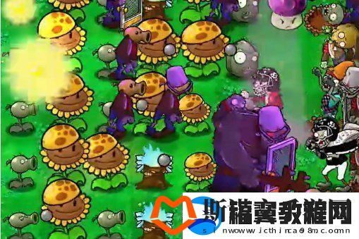 植物大战僵尸杂交版挑战第40关如何闯关