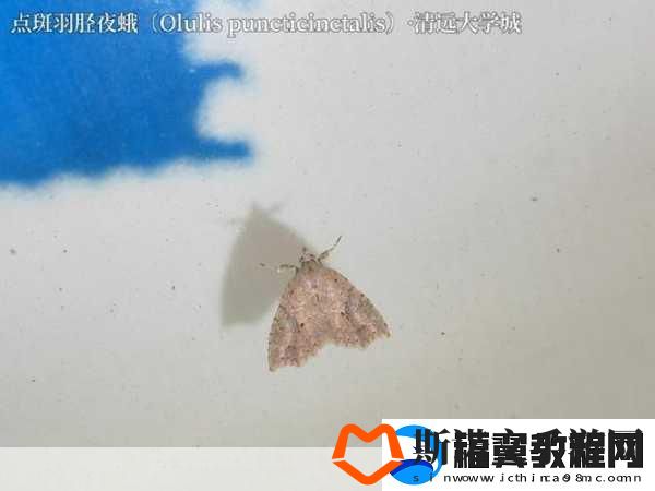 锕铜铜铜铜