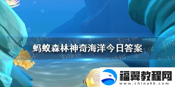 人们熟悉的寄居蟹属于以下哪种分类-神奇海洋11月21日答案