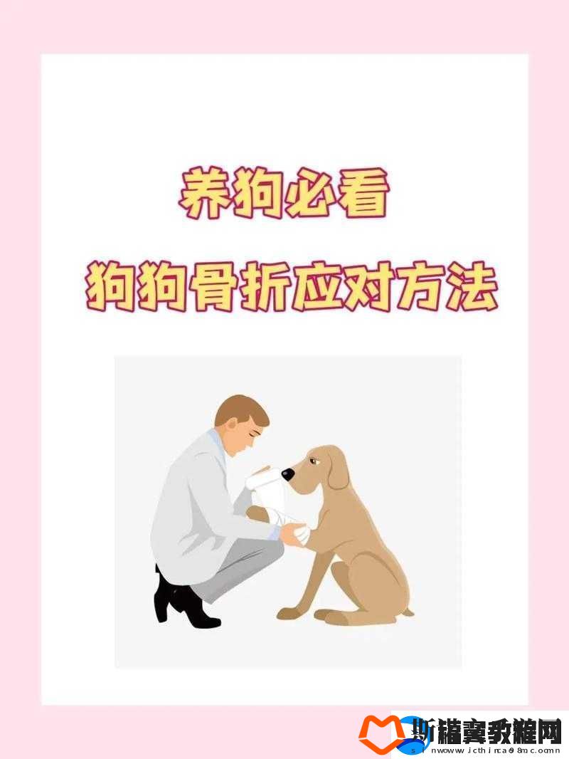 狗卡私处怎么办：实用应对指南