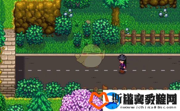 星露谷物语神秘的齐任务怎么做