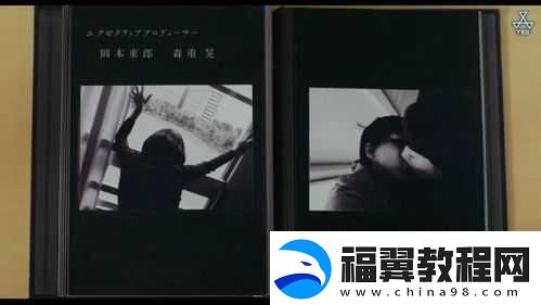 难以启齿HPO