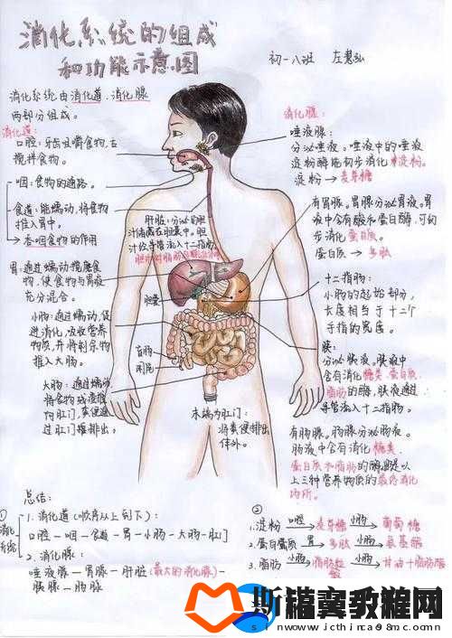 一体