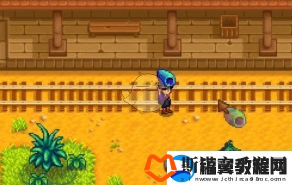 星露谷物语神秘的齐任务怎么做