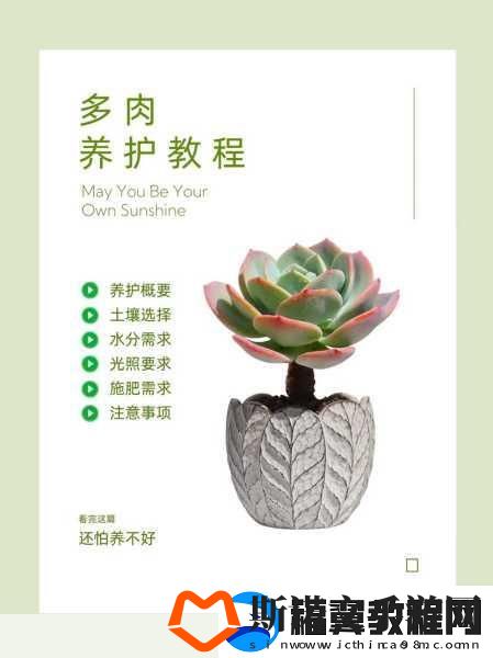 皇家共享小公主多肉养护技巧-1.-如何让你的多肉植物如皇家共享小公主般绚丽