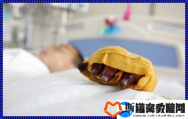 丰年经的继拇