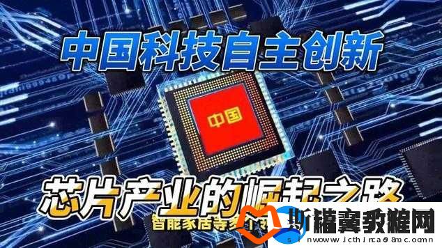 国产：自主创新之路的崛起与辉煌