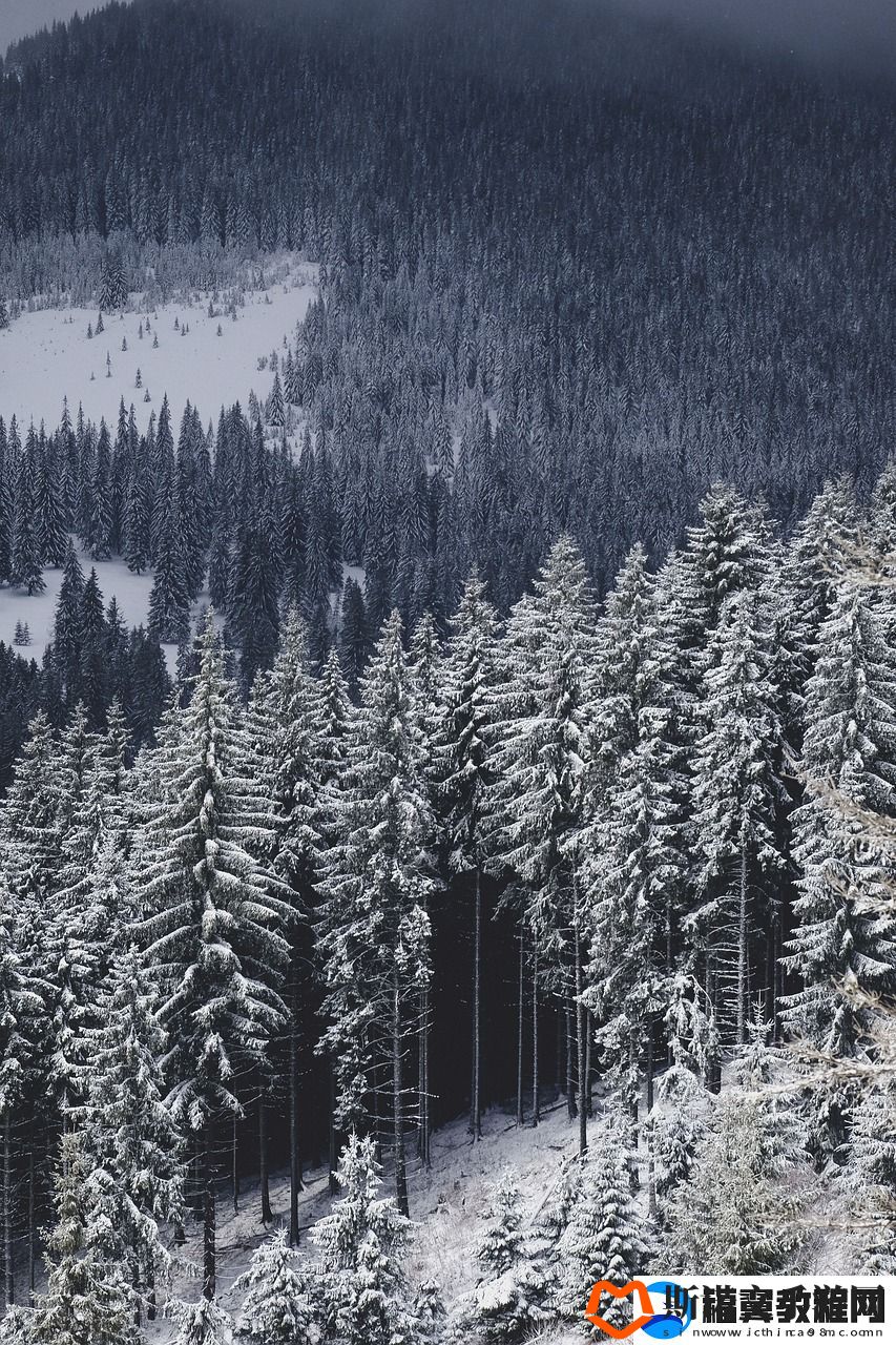 逆水寒雪河
