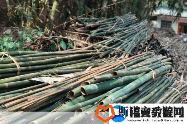 探寻蜀纸之乡精湛竹纸制造工艺的传奇之旅
