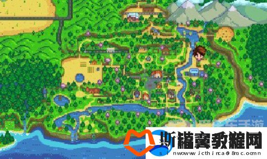 星露谷物语书摊老板在哪里