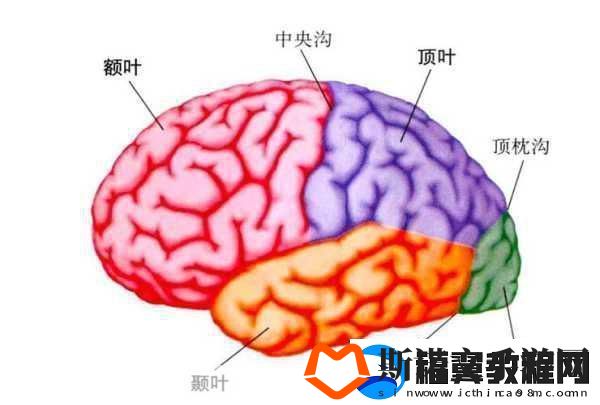 分裂之门2震撼来袭-三大派系能力全揭秘！