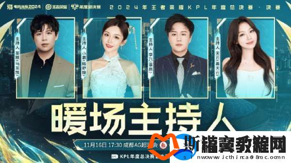 年总决赛解说公布