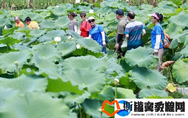 嫩草研究：探索新兴植物在生态系统中的角色与影响