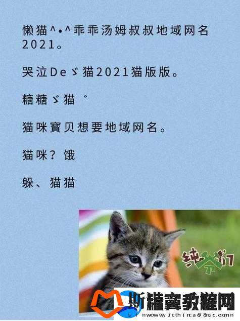 猫咪视频最新地域名怎么取之探讨
